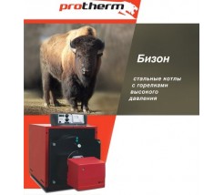 NO 350 420 Bison